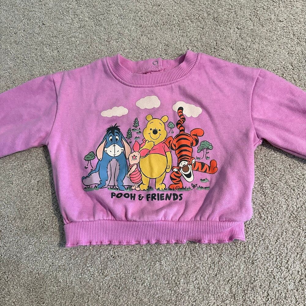 Winnie the Pooh &friends baby sweatshirt 3-6 months Disney VGUC